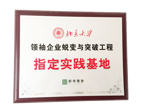 領(lǐng)袖與企業(yè)突破實(shí)踐基地